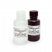 GeneDireX UltraScence Pico Plus Western Substrate/ HRP 酵素冷光試劑